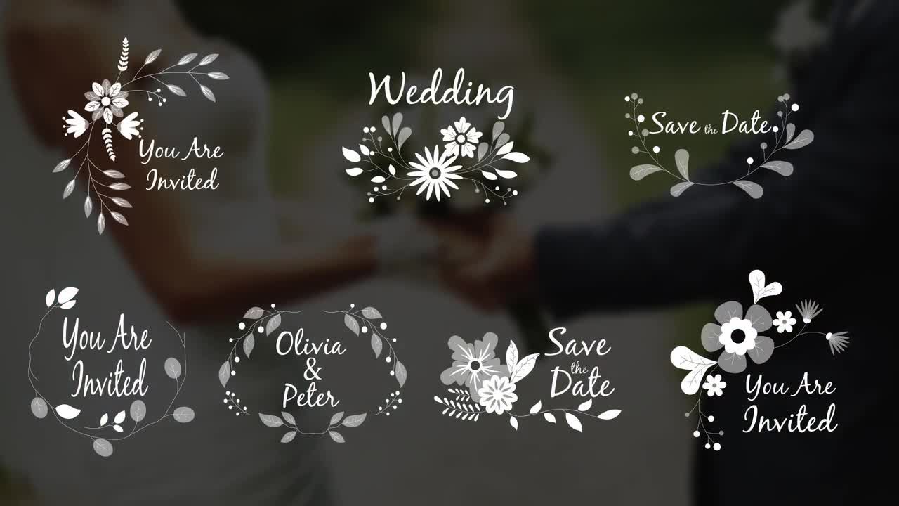 7个装饰花卉婚礼饰品演示文稿16设计素材网精选AE模板