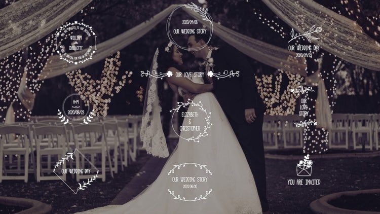 典雅婚礼标题设计时尚且动画效果简单的亿图网易图库精选AE模板