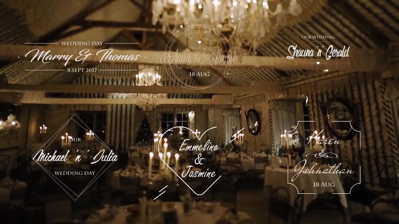 6个独特设计和婚礼视频素材Pr模板