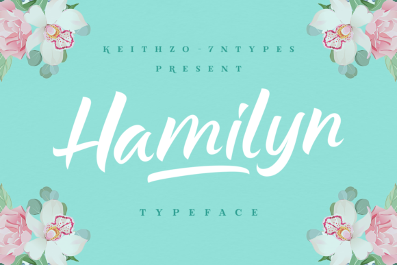 Hamilyn Font插图