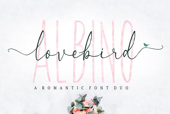 Albino Lovebird – Font Duo插图