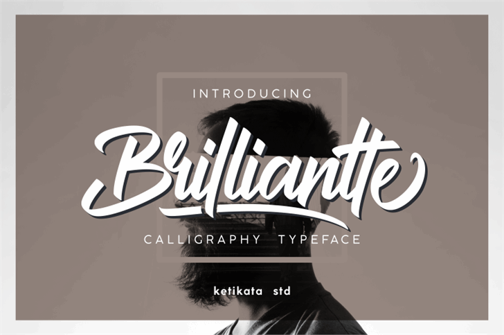 Brilliantte Presonal Use Only font插图