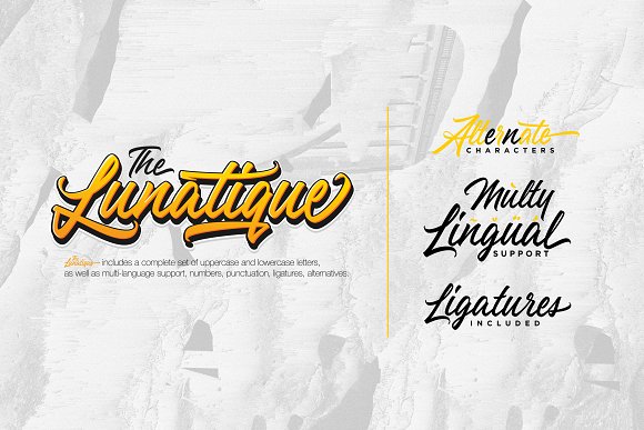 The Lunatique Font插图2