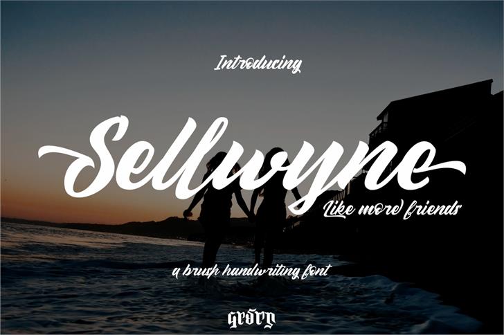 Sellwyne font插图
