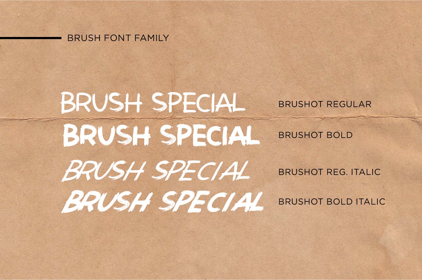 Brushot 4 Font Plus Swash插图1