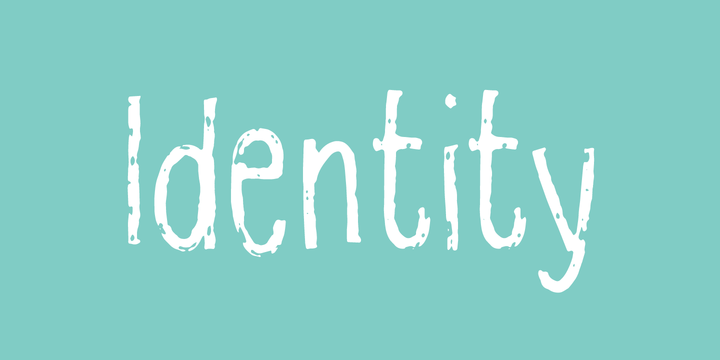 Identity Font Family插图