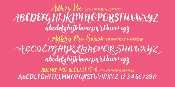 Adlery Pro font插图2