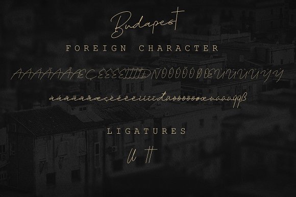 Budapest || Cursive Typeface 3 Fonts插图1