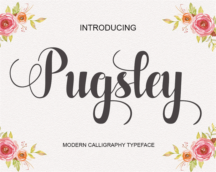 Pugsley font插图