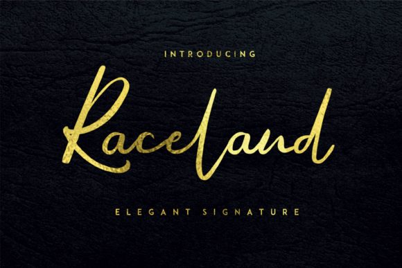 Raceland Font插图