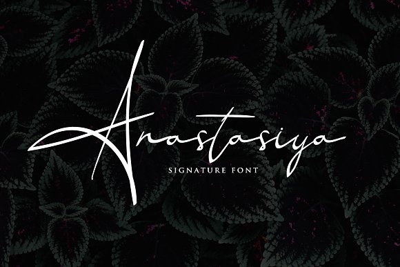 Anastasiya Elegant Signature Font插图