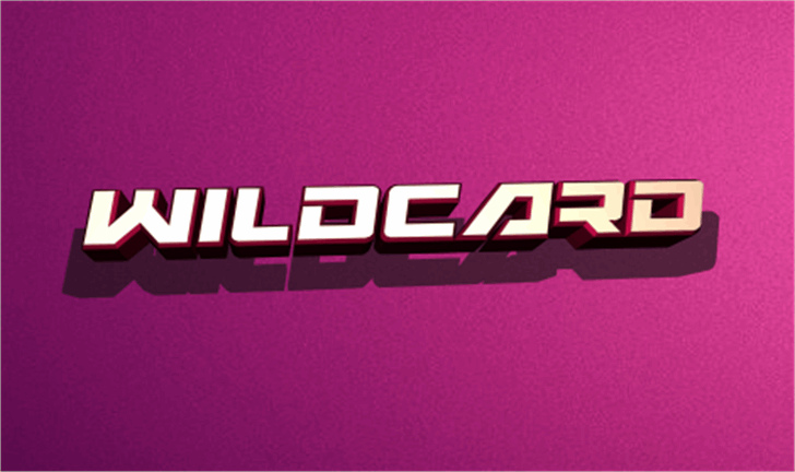 Wildcard font插图