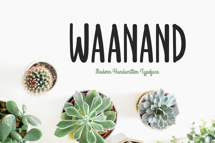 Waanand Typeface Font插图