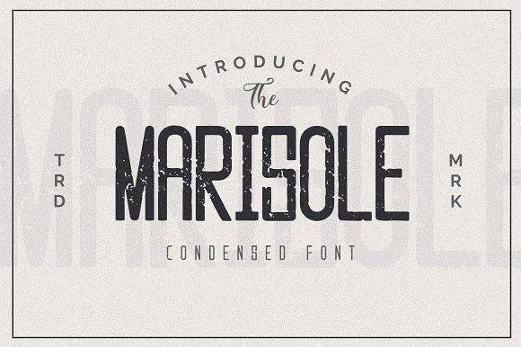 Marisole Condensed Font插图