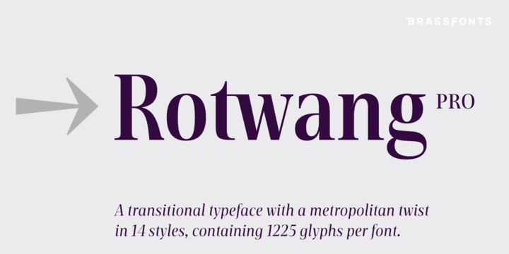Rotwang Pro Font Family插图1