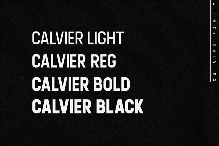 Calvier font插图1