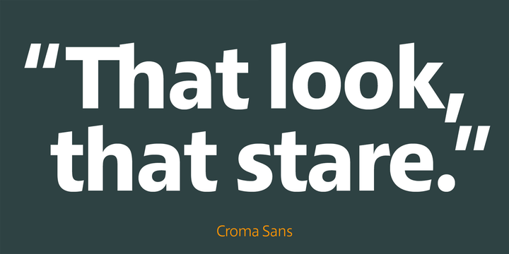 Croma Sans Font Family插图2