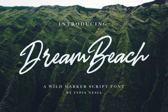 Dream Beach Font插图