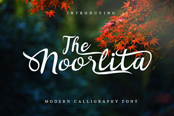 Noorlita Beautiful Calligraphy Font插图