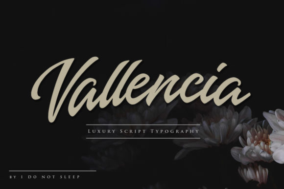 Vallencia Font插图
