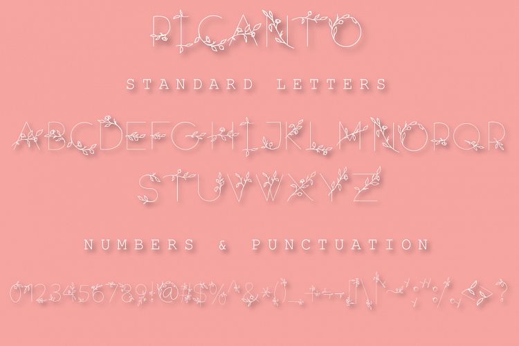 PICANTO – FLORAL FONTRegular Font插图1