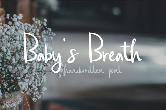 Baby’s Breath Font插图