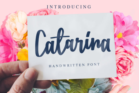 Catarina Font插图1