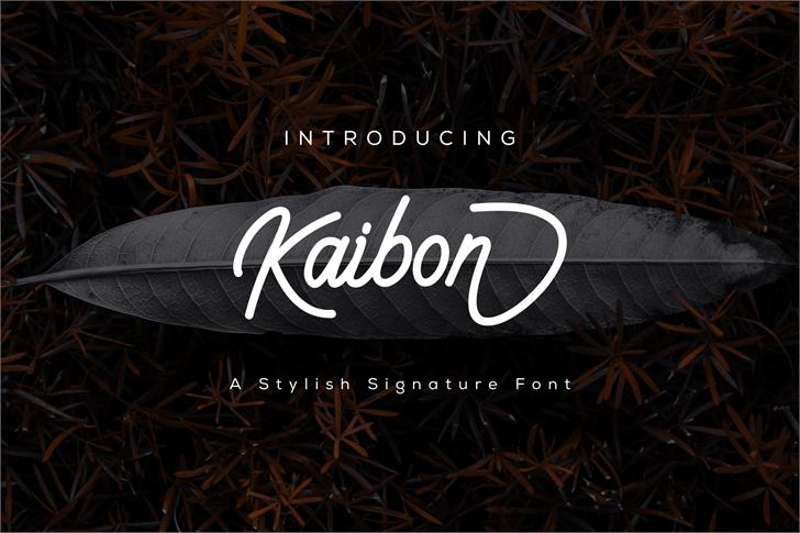 Kaibon font插图1