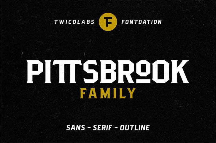 Pittsbrook Sans font插图