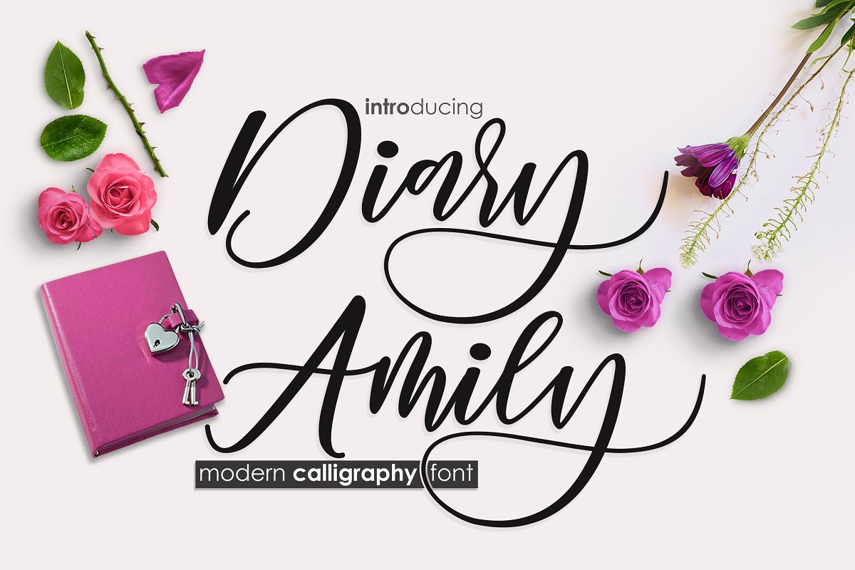 Diary Amily Font插图