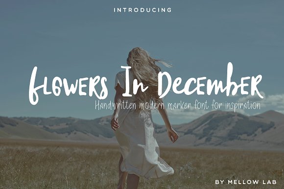 Flowers In December Font Duo插图