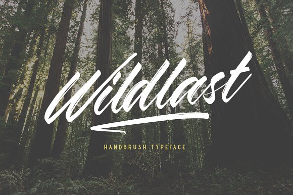 Wildlast Handbrush Typeface插图