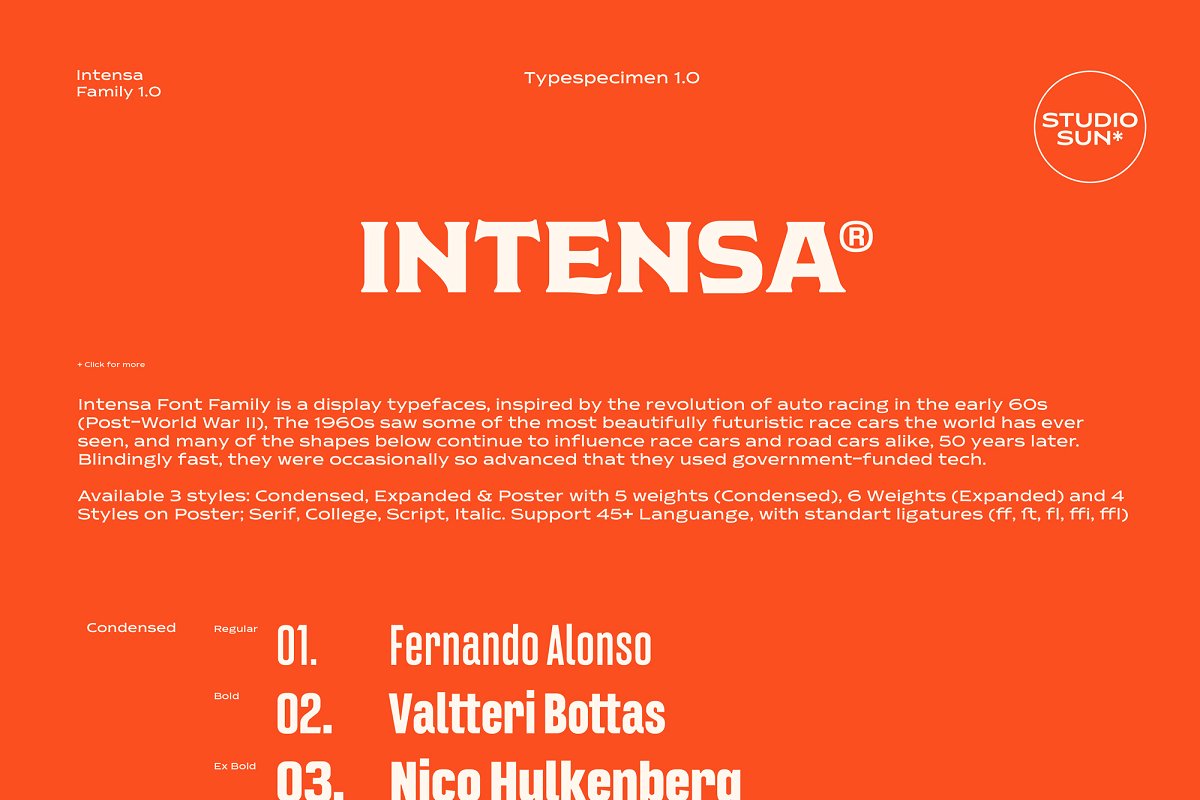 Intensa – Font Family插图2