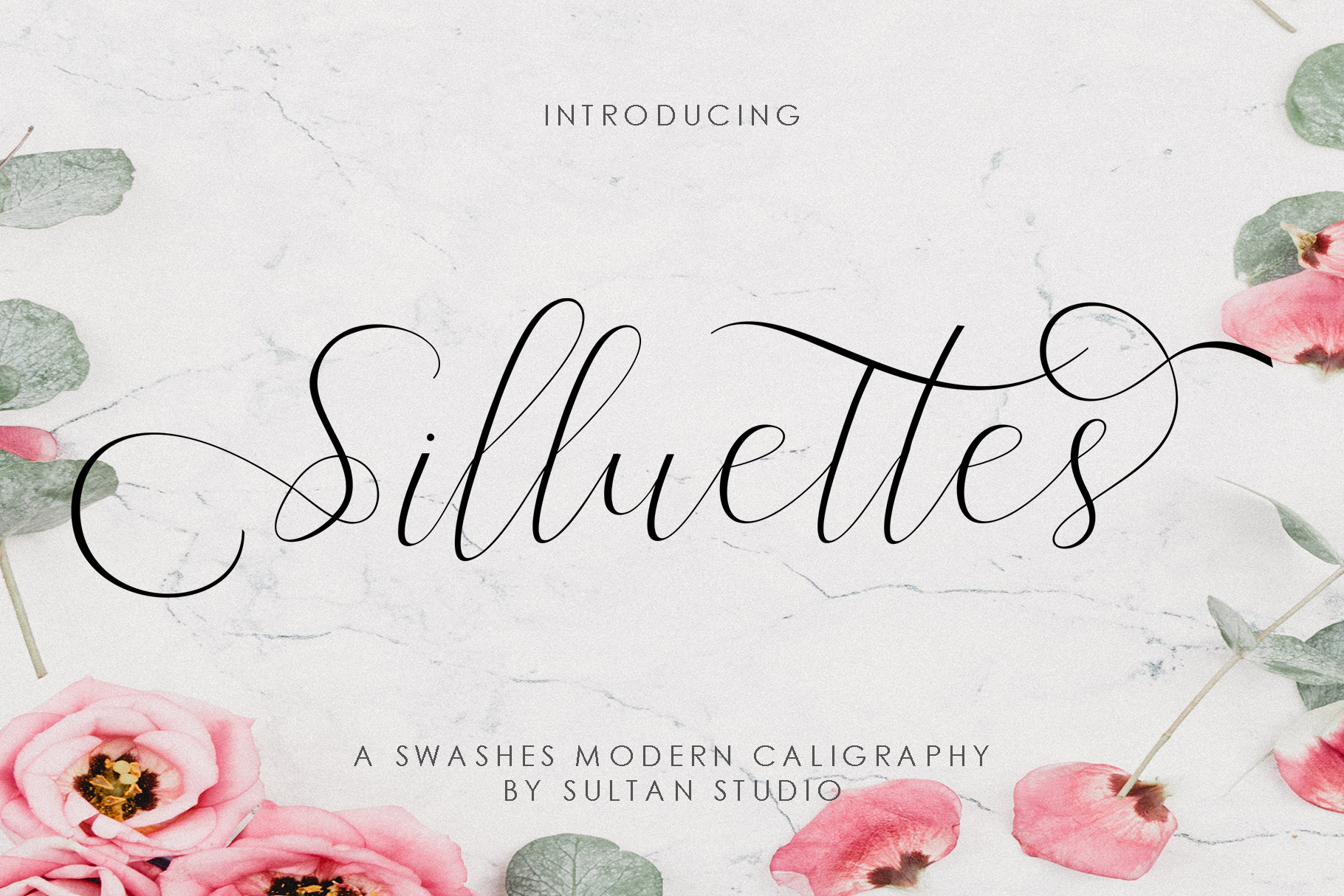 Silluettes Other Font插图