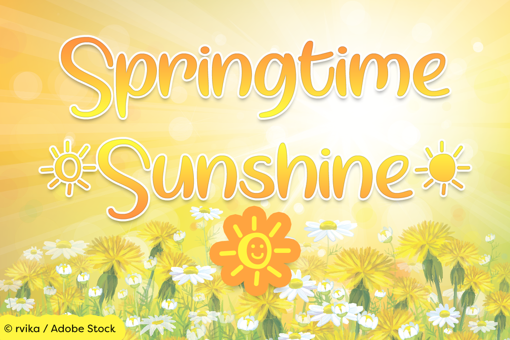 Springtime Sunshine Font插图4