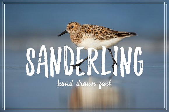 Sanderling Textured Font插图