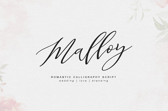Malloy Font插图