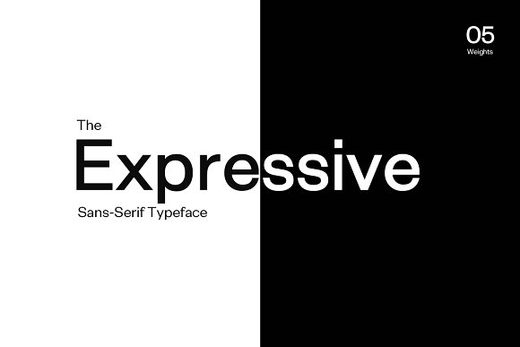 Exensa Grotesk Typeface + Web Fonts插图1