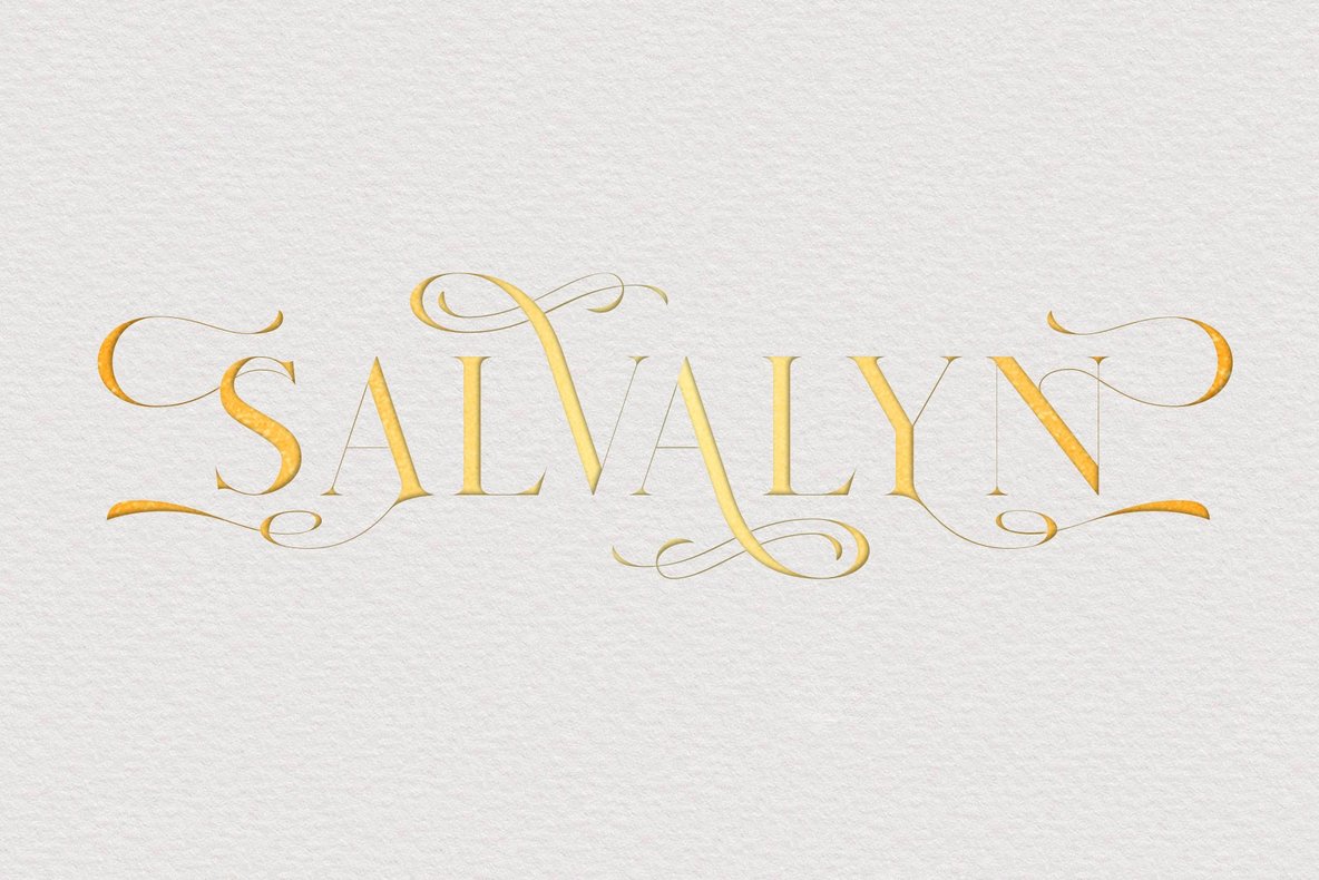 Salvalyn Font插图8