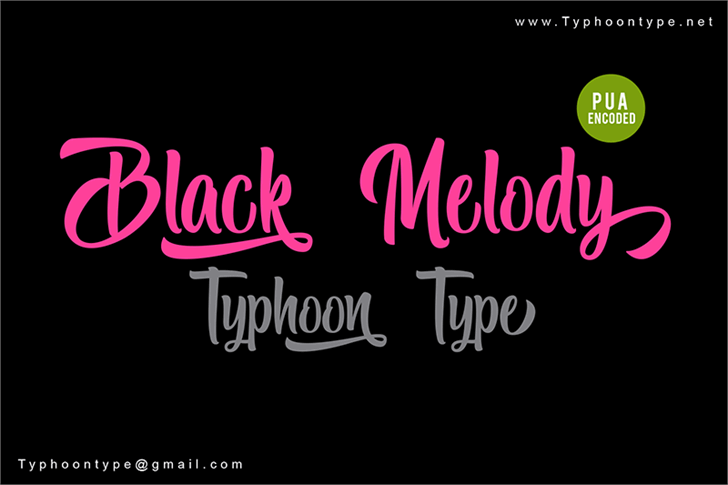 Black Melody – Personal Use font插图