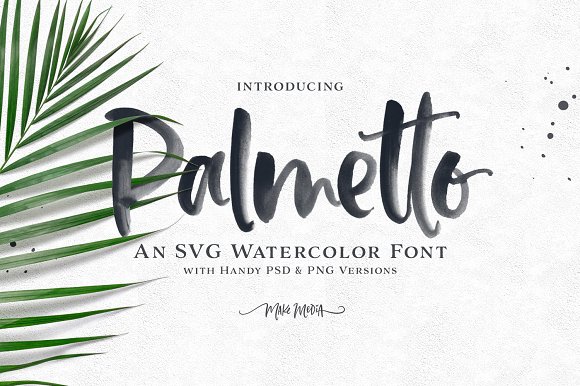 Palmetto SVG Font插图