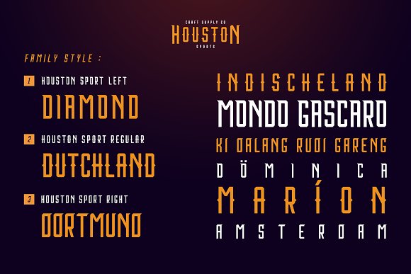 Houston Sports Font Family插图4