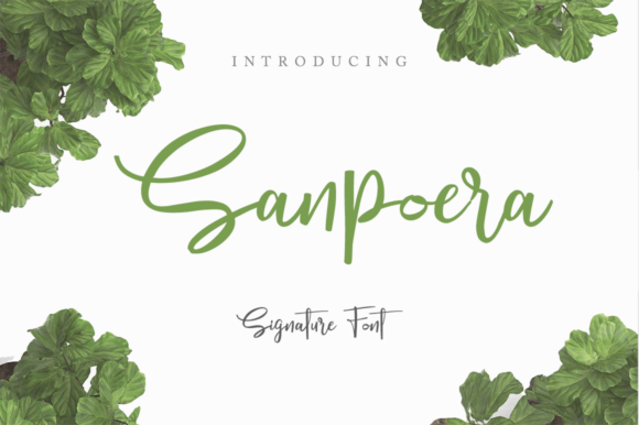 Sanpoera Font插图