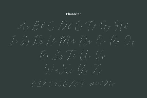 Terranika Typeface插图4
