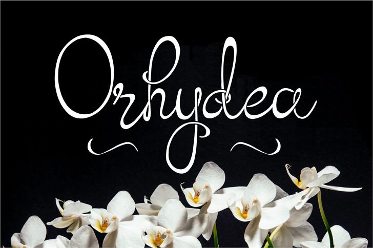 Orhydea font插图1