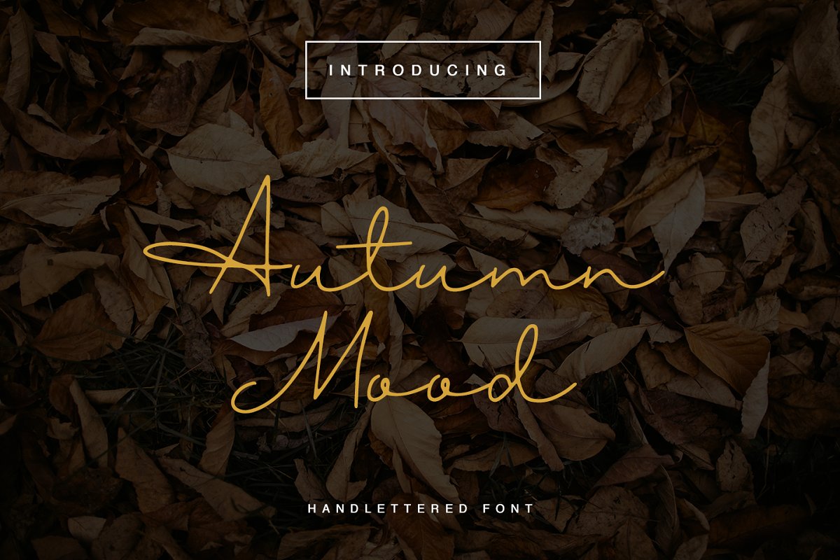 Autumn Mood Font插图