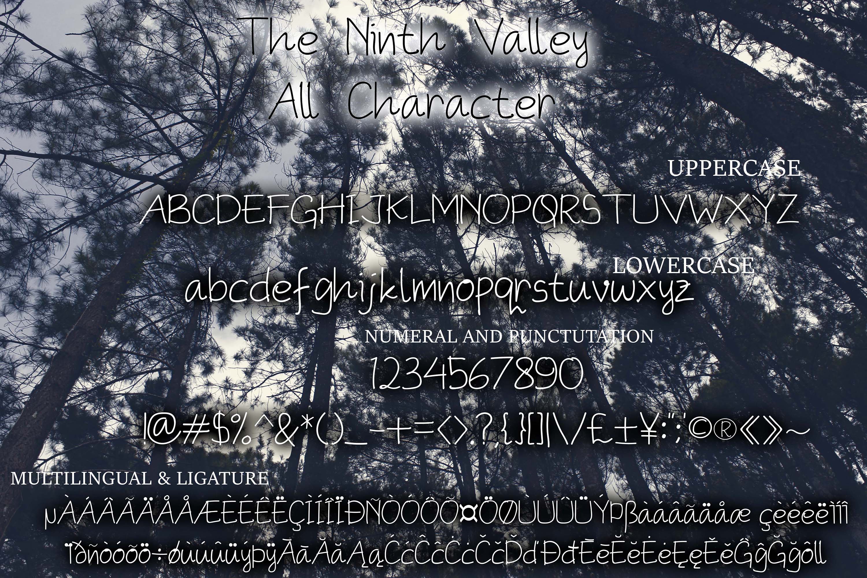 The Ninth Valley Other Font插图1