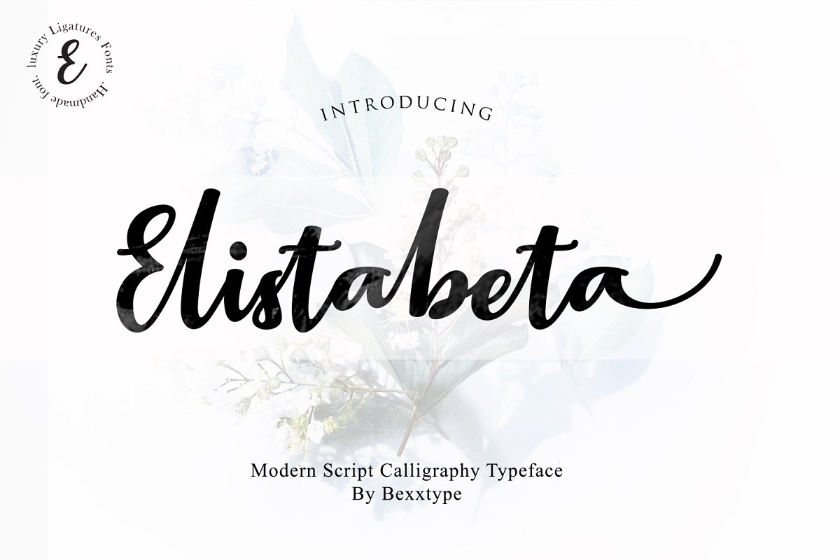 Elistabeta luxury ligature Font插图1