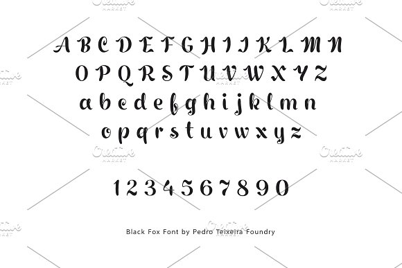Black Fox Font插图4