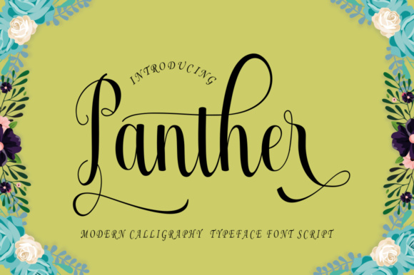 Panther Typeface插图